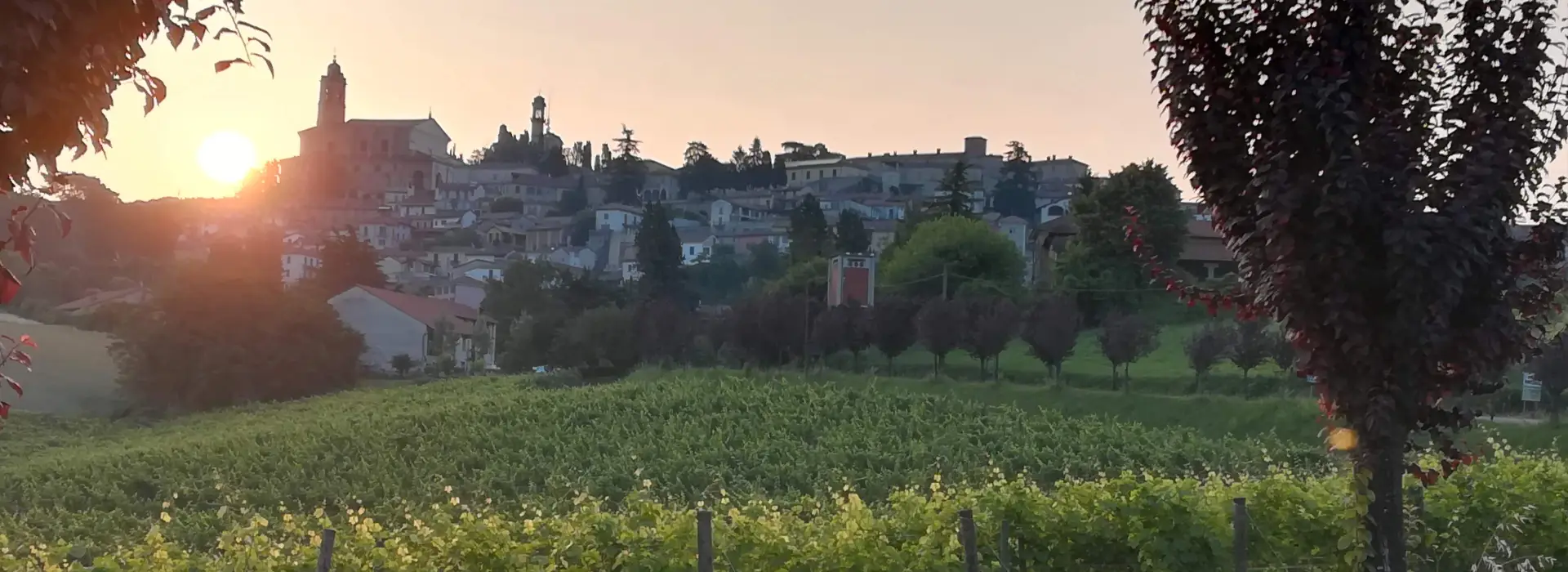 Gaudio - Bricco Mondalino